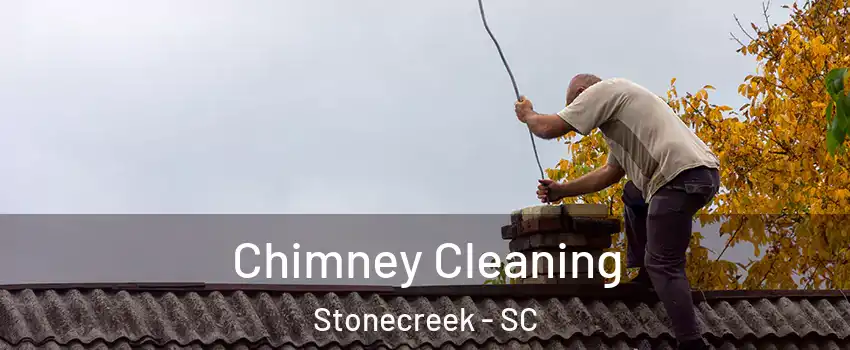 Chimney Cleaning Stonecreek - SC