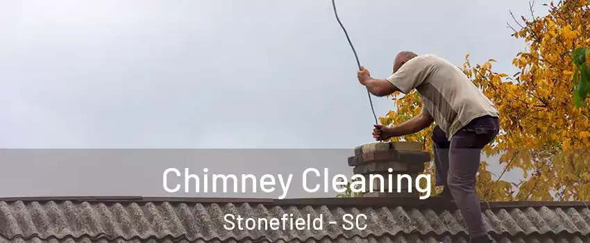 Chimney Cleaning Stonefield - SC