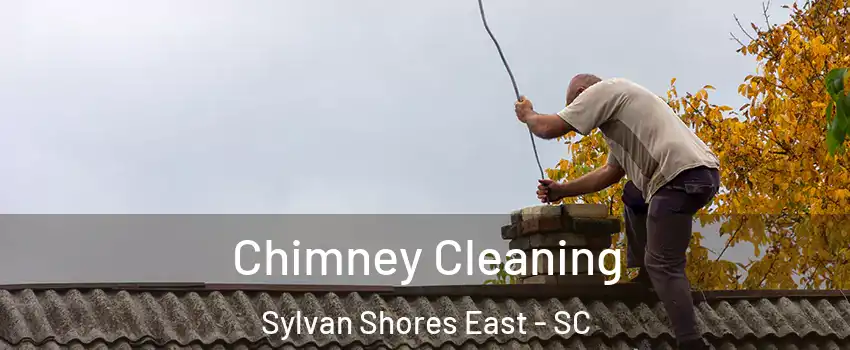 Chimney Cleaning Sylvan Shores East - SC