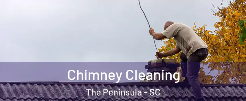 Chimney Cleaning The Peninsula - SC