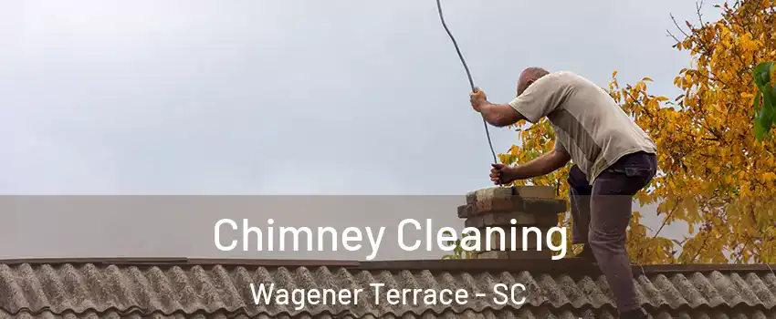 Chimney Cleaning Wagener Terrace - SC