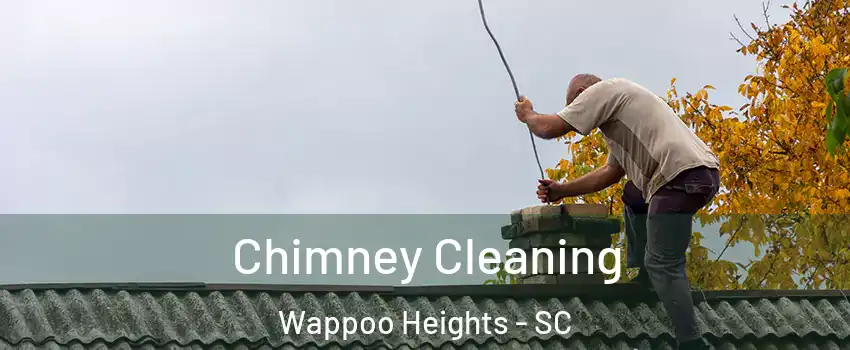 Chimney Cleaning Wappoo Heights - SC