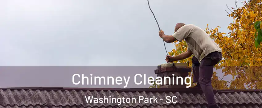 Chimney Cleaning Washington Park - SC