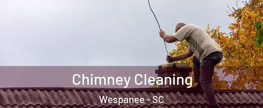 Chimney Cleaning Wespanee - SC