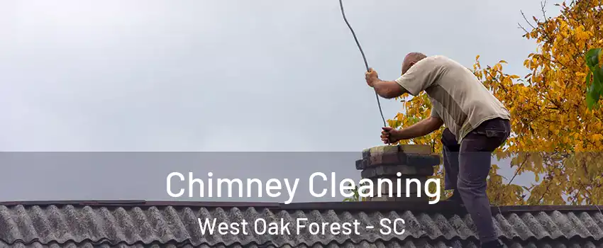 Chimney Cleaning West Oak Forest - SC