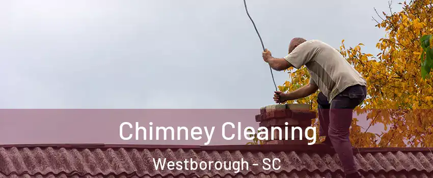 Chimney Cleaning Westborough - SC