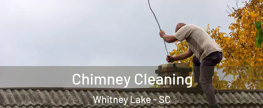 Chimney Cleaning Whitney Lake - SC