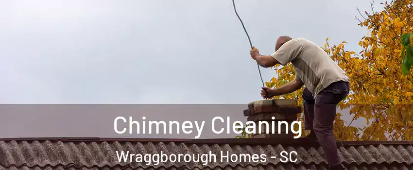 Chimney Cleaning Wraggborough Homes - SC