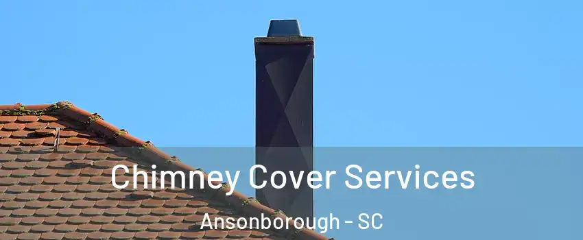 Chimney Cover Services Ansonborough - SC