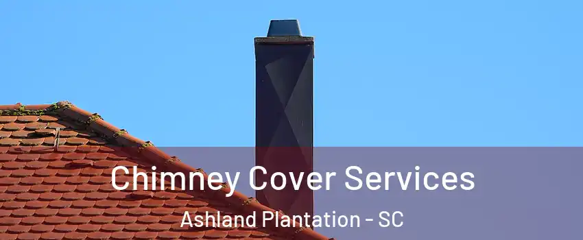 Chimney Cover Services Ashland Plantation - SC