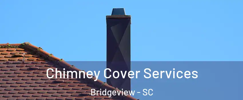 Chimney Cover Services Bridgeview - SC