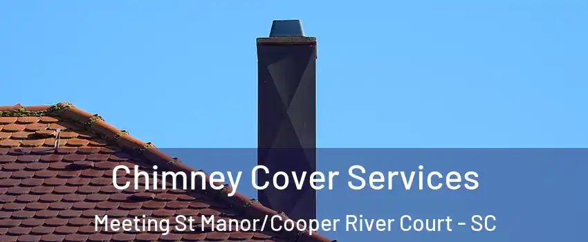 Chimney Cover Services Meeting St Manor/Cooper River Court - SC