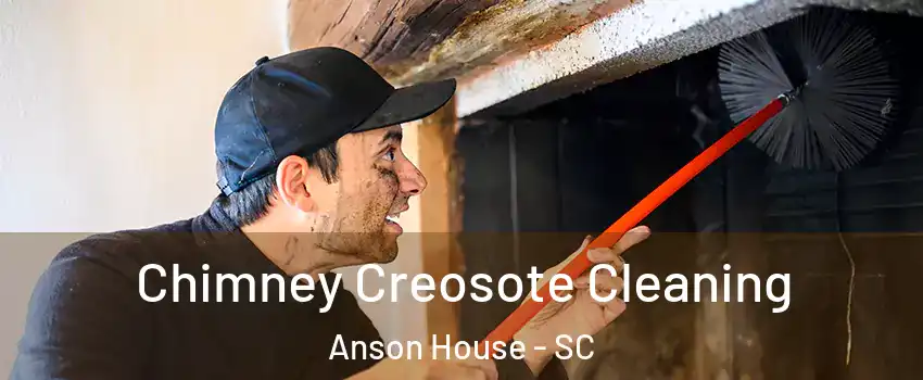 Chimney Creosote Cleaning Anson House - SC