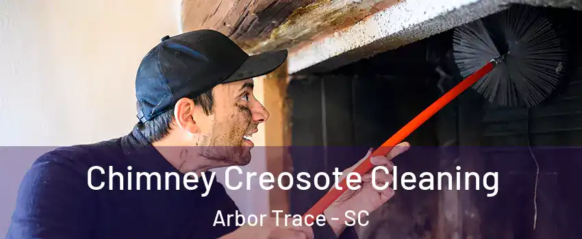 Chimney Creosote Cleaning Arbor Trace - SC