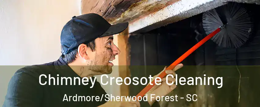 Chimney Creosote Cleaning Ardmore/Sherwood Forest - SC