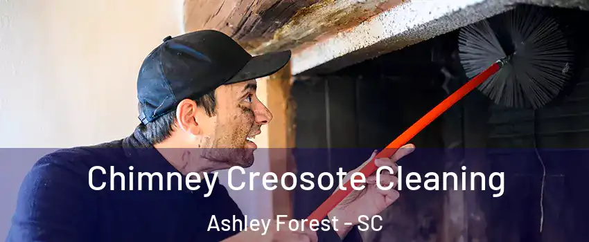 Chimney Creosote Cleaning Ashley Forest - SC