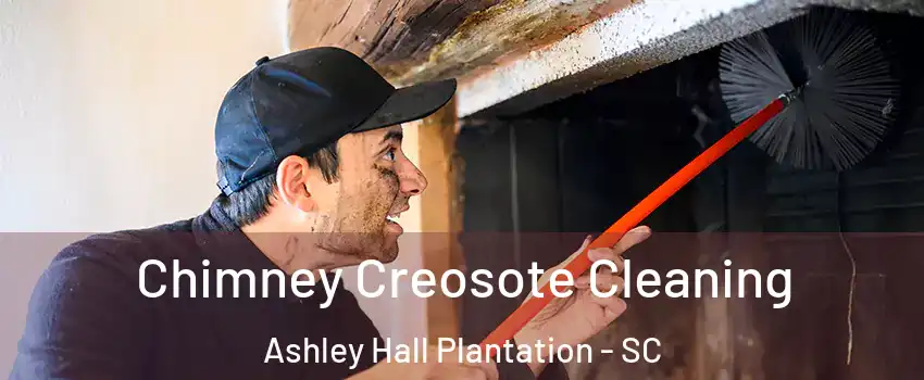 Chimney Creosote Cleaning Ashley Hall Plantation - SC