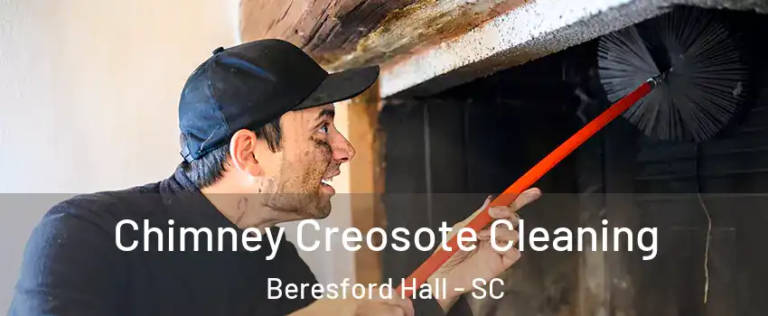 Chimney Creosote Cleaning Beresford Hall - SC