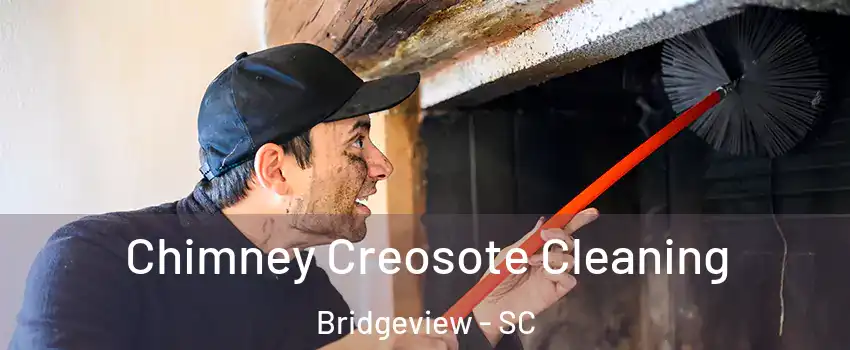 Chimney Creosote Cleaning Bridgeview - SC