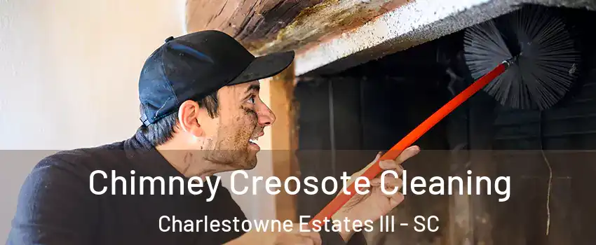 Chimney Creosote Cleaning Charlestowne Estates III - SC