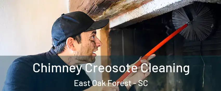 Chimney Creosote Cleaning East Oak Forest - SC