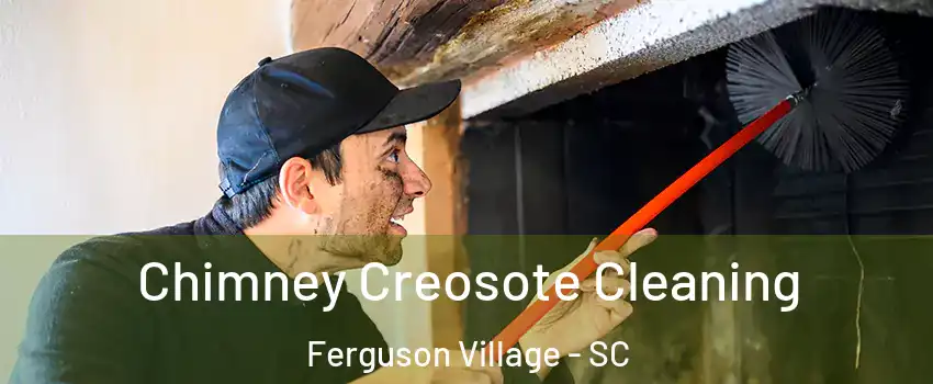 Chimney Creosote Cleaning Ferguson Village - SC