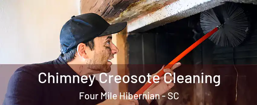 Chimney Creosote Cleaning Four Mile Hibernian - SC