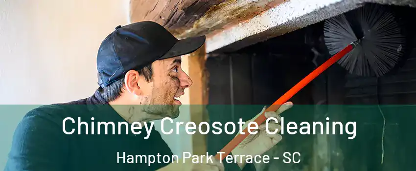 Chimney Creosote Cleaning Hampton Park Terrace - SC