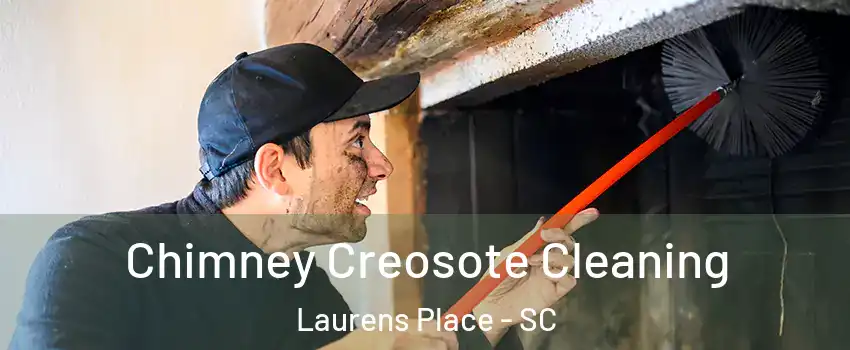 Chimney Creosote Cleaning Laurens Place - SC