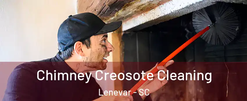 Chimney Creosote Cleaning Lenevar - SC