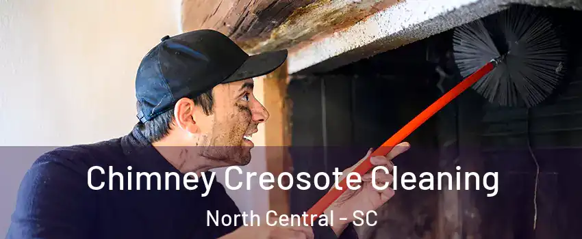 Chimney Creosote Cleaning North Central - SC