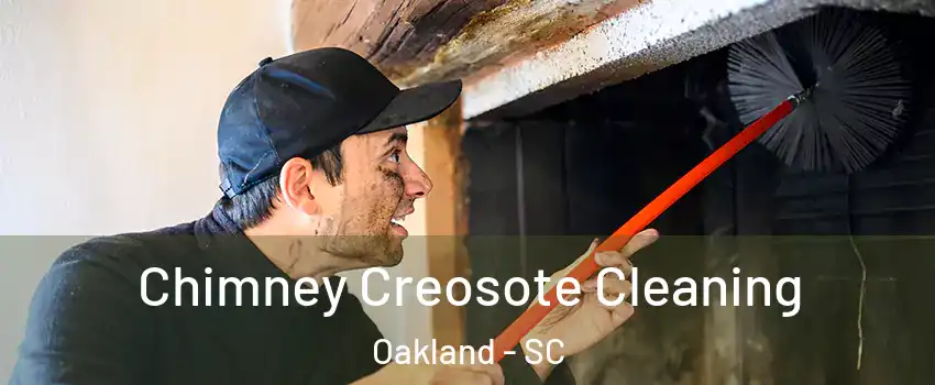 Chimney Creosote Cleaning Oakland - SC