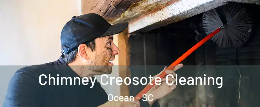 Chimney Creosote Cleaning Ocean - SC