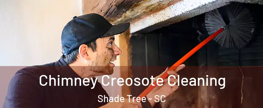 Chimney Creosote Cleaning Shade Tree - SC