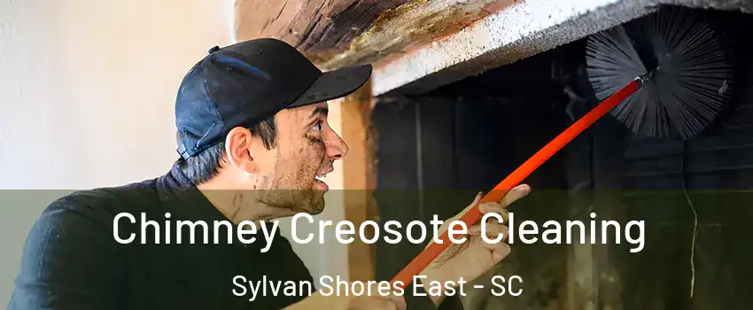 Chimney Creosote Cleaning Sylvan Shores East - SC