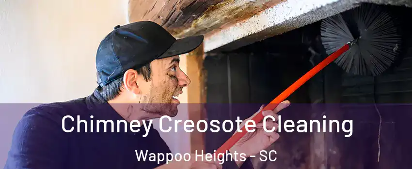 Chimney Creosote Cleaning Wappoo Heights - SC