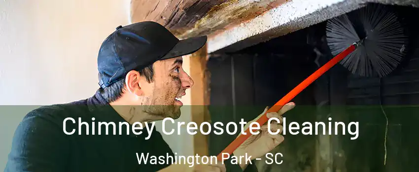 Chimney Creosote Cleaning Washington Park - SC