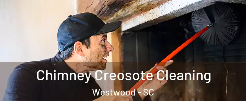 Chimney Creosote Cleaning Westwood - SC