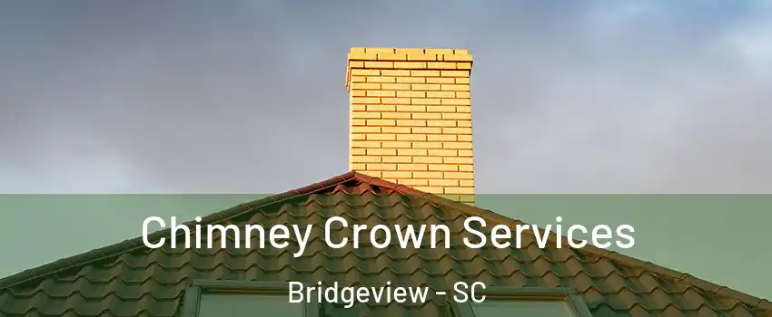 Chimney Crown Services Bridgeview - SC