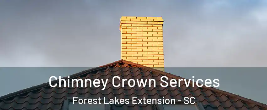 Chimney Crown Services Forest Lakes Extension - SC