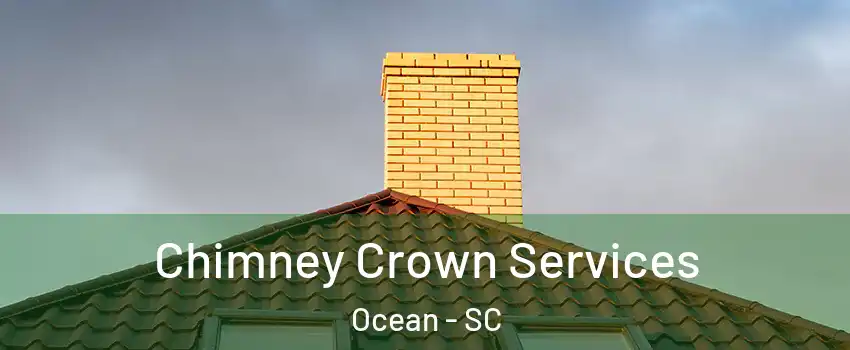 Chimney Crown Services Ocean - SC