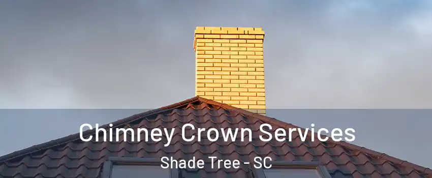 Chimney Crown Services Shade Tree - SC