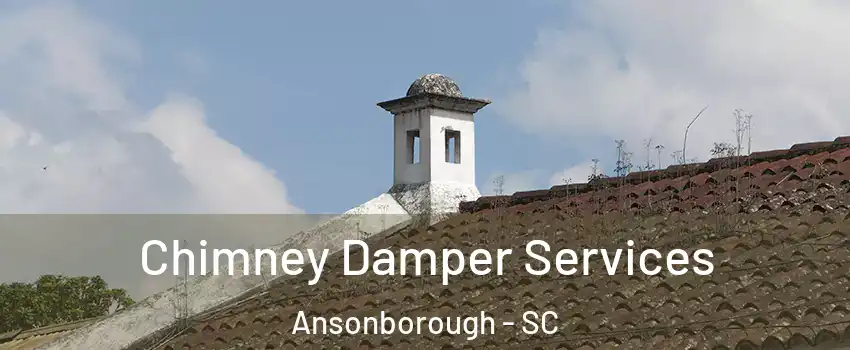 Chimney Damper Services Ansonborough - SC