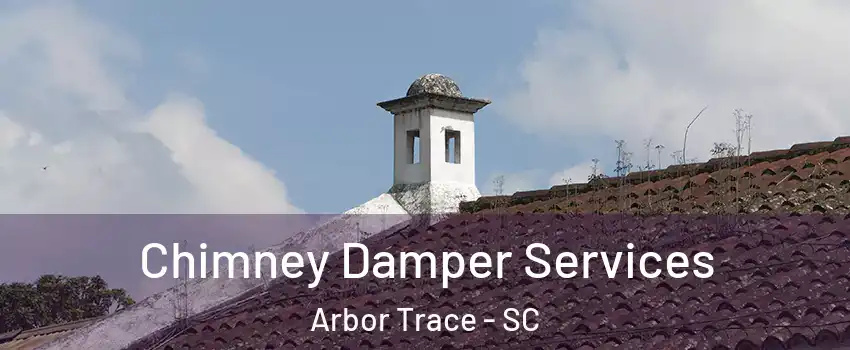 Chimney Damper Services Arbor Trace - SC