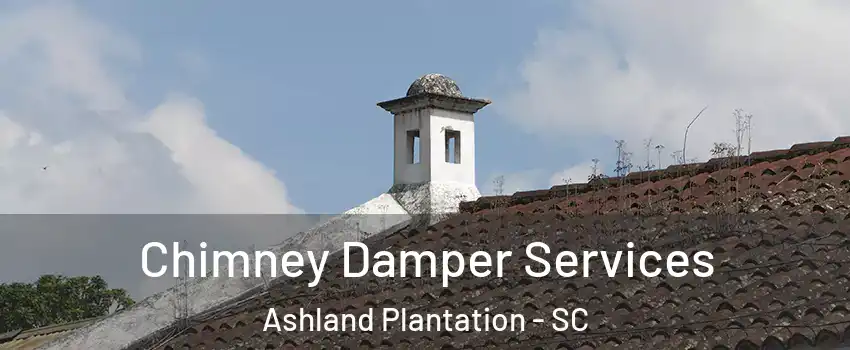 Chimney Damper Services Ashland Plantation - SC