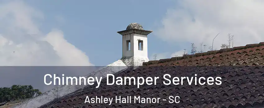 Chimney Damper Services Ashley Hall Manor - SC