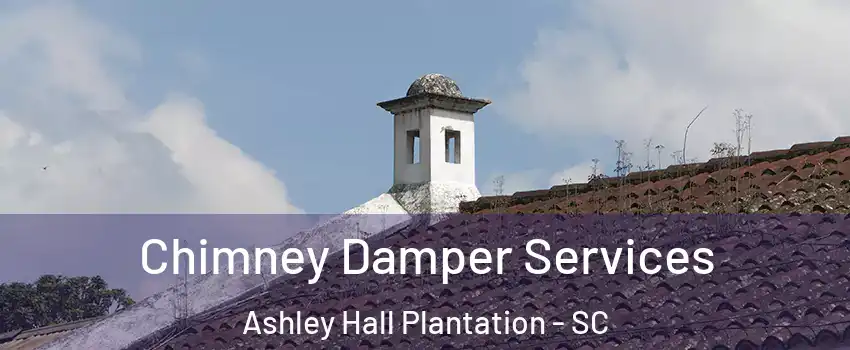 Chimney Damper Services Ashley Hall Plantation - SC