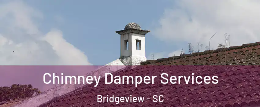 Chimney Damper Services Bridgeview - SC