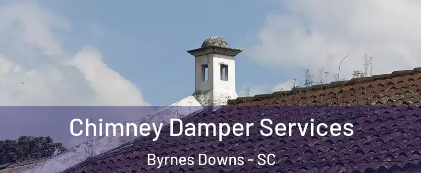 Chimney Damper Services Byrnes Downs - SC