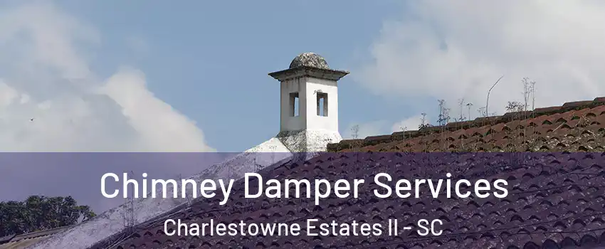 Chimney Damper Services Charlestowne Estates II - SC